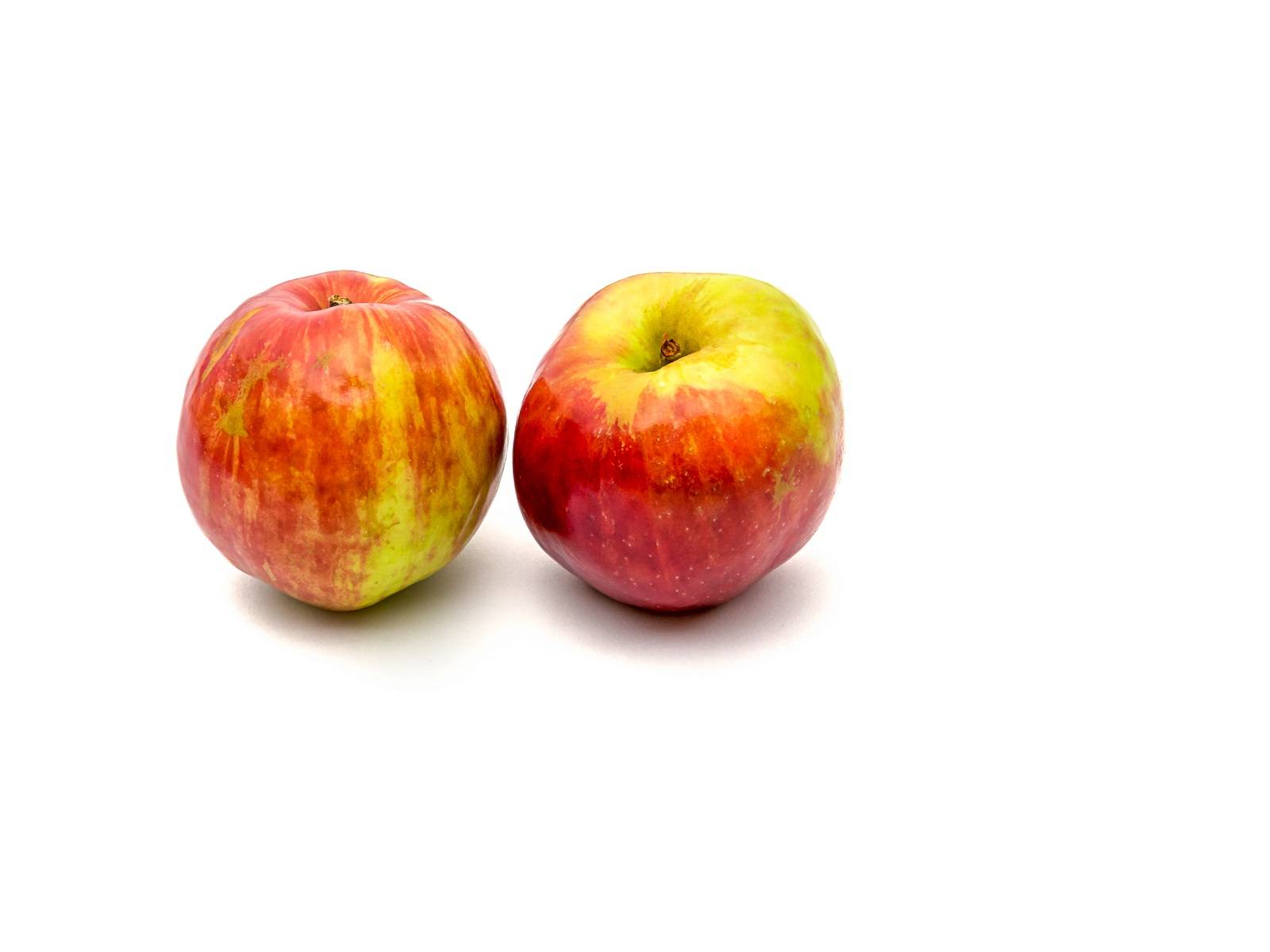 l_apfel gravensteiner Regionales Obst - Graven­steiner - Hofladen Altkö